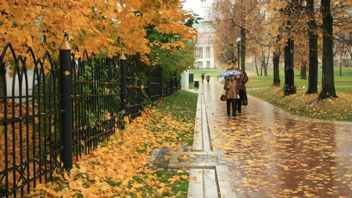 За ноябрь этого года в Киеве выпало 99 мм осадков, что составляет 115 процентов климатической нормы.