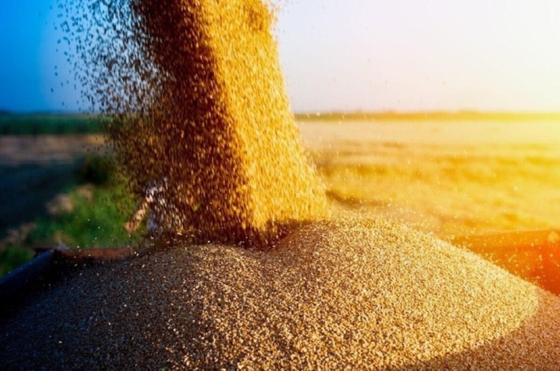 Загарбники зібрали на тимчасово окупованих територіях Україні майже 6 мільйонів тонн пшениці, а також близько 88 відсотків озимих культур.