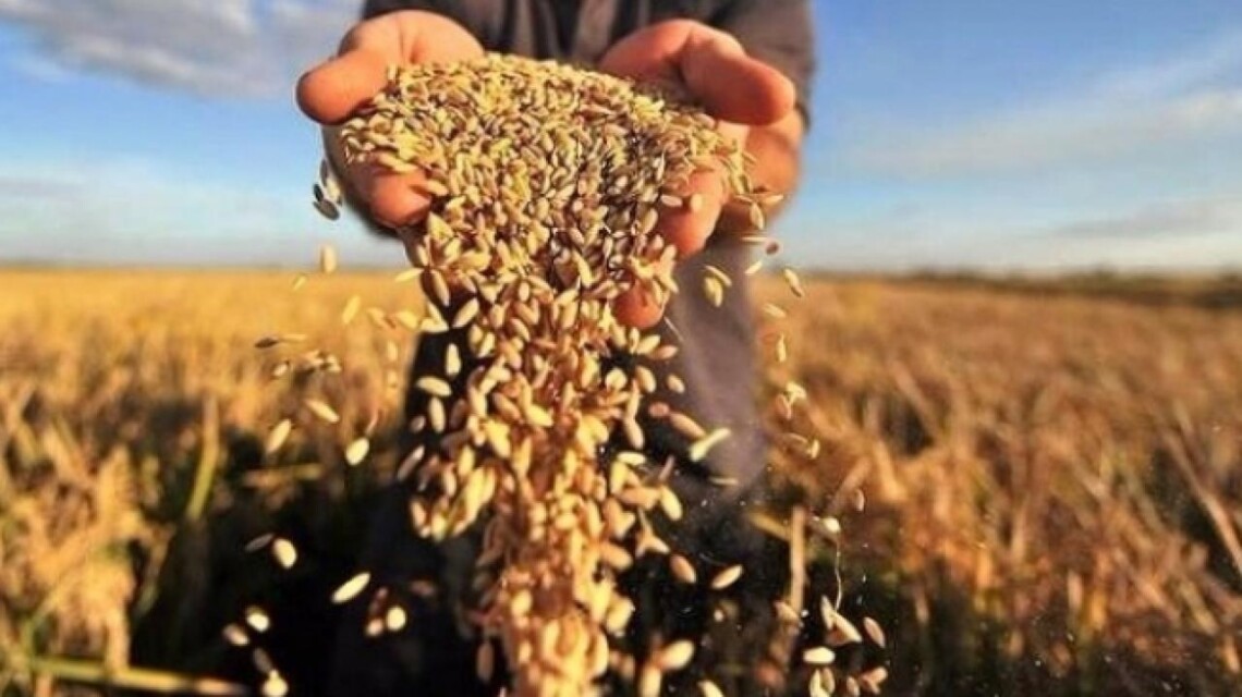 За 11 місяців Україна експортувала 50,9 млн тонн аграрної продукції на суму 21,1 млрд доларів, найбільше – кукурудзи.