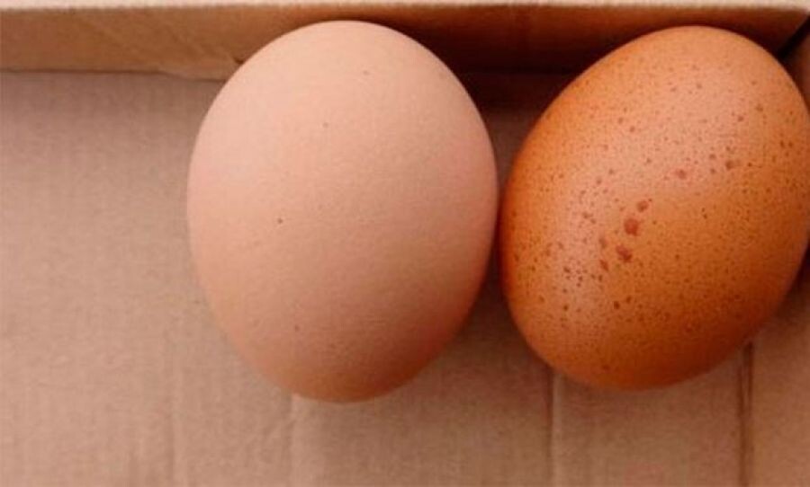 В Україні змінять вимоги до продажу курячих яєць та поділять на два класи, а також за вагою.