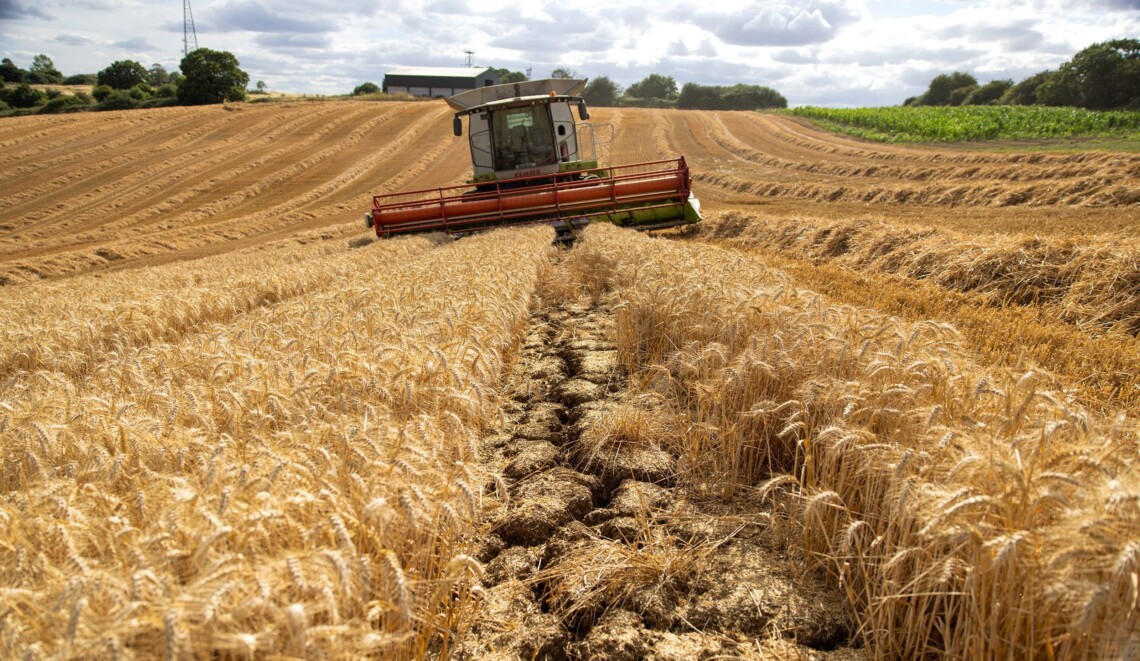 Правительства Испании и Франции не поддержали введение одностороннего запрета на импорт украинской агропродукции со стороны Польши, Венгрии и Словакии.
