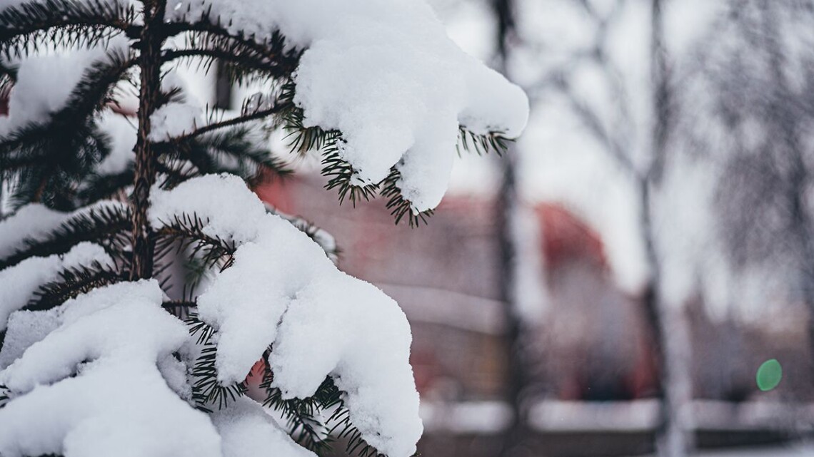 В большинстве областей Украины в ближайшие дни ожидаются снегопады, на юге дожди, сильных морозов пока не будет.