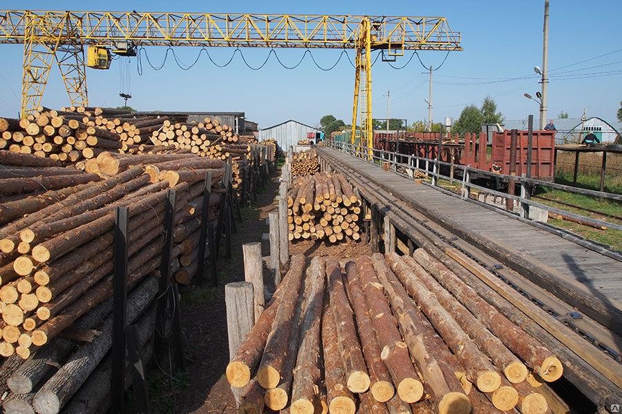 Заборона на експорт лісу-кругляка стимулює зростання вітчизняної промисловості, проте призвела до збільшення контрабанди.