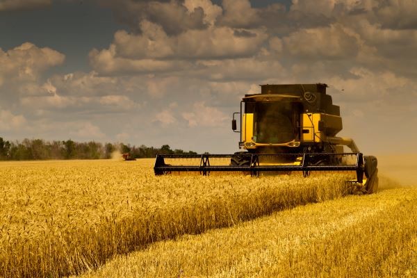 Мінагропрод прогнозує збір врожаю зернових на рівні 64 млн тонн, що є найвищим показником за всю історію незалежності України.