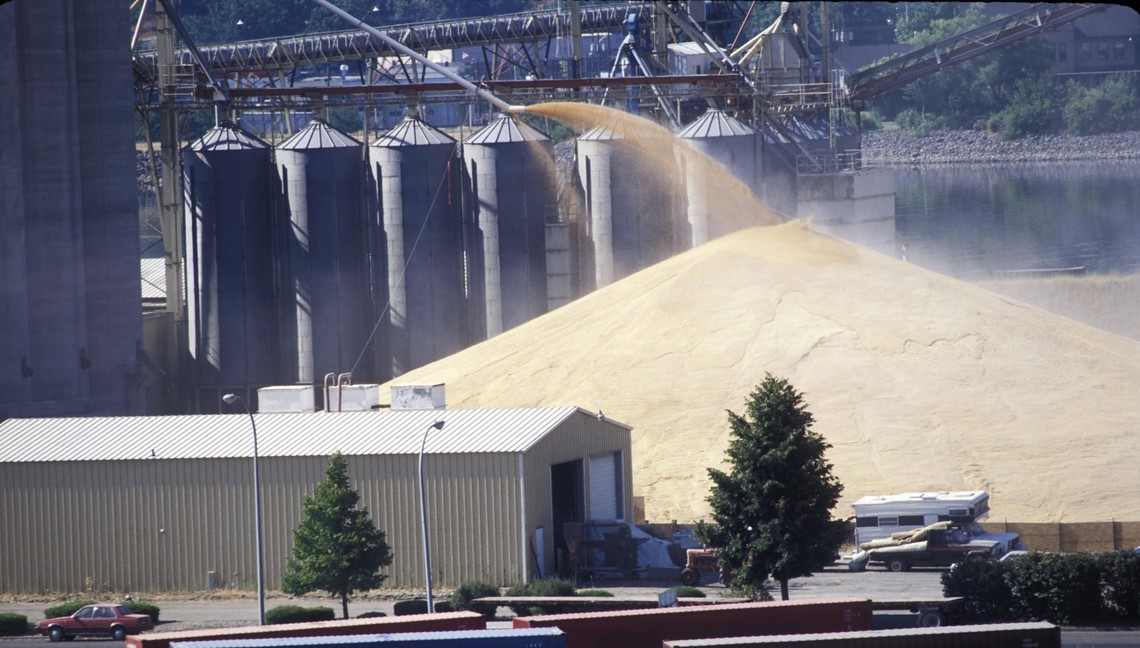 Зокрема, пшениці було експортовано 9,6 млн тонн, ячменю – 3,95 млн тонн, кукурудзи – 3,6 млн тонн.