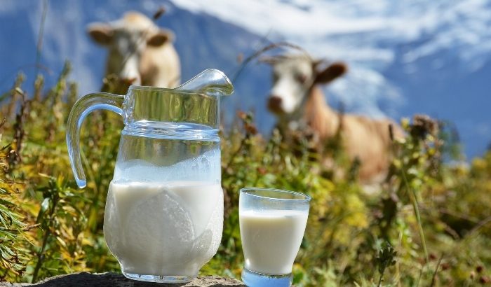 Основним фактором зниження цін на молоко є зростання пропозиції на ринку і чим далі, ти більший вплив на ціноутворення він матиме.