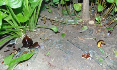 На месте полиция обнаружила фрагменты стекла пивной бутылки, кусок тряпки с горюче-смазочным веществом и следы обуви.