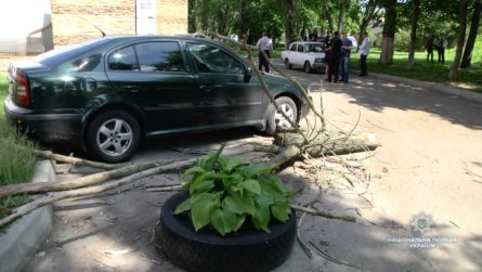 У четвер, 17 травня, на вулиці Лесі Українки в Черкасах на групу учнів другого класу однієї з місцевих шкіл звалилося дерево.