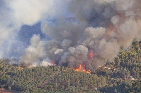 Пожежа виникла ще 28 травня і за два дні охопили територію в 580 гектарів лісу. До ліквідації пожежі залучили рятувальників з шести областей.