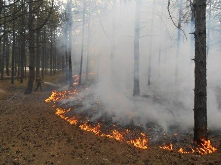 Державна служба з надзвичайних ситуацій повідомила, що, за даними Укргідрометцентру, до 4 червня в країні триватиме найвищий рівень пожежної небезпеки.