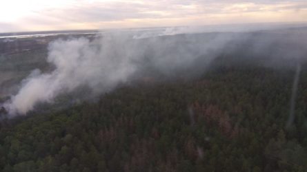 Станом на ранок 6 червня рятувальники продовжують гасити лісову пожежу в Чорнобильській зоні.