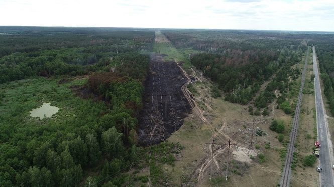 О 16:40 рятувальники ліквідували загорання сухої лісової підстилки та трав'яного настилу в селі Копачі Чорнобильської зони на площі близько 1 га, який виник в п'ятницю, 8 червня.