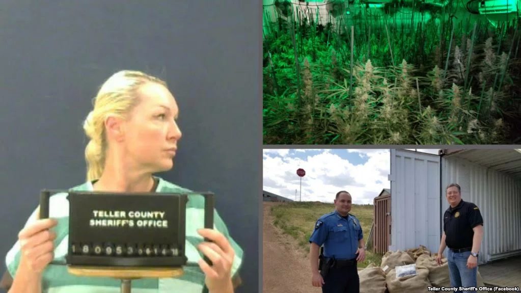 У США, в місті Вудленд Парк, що в штаті Колорадо, за підозрою в нелегальному вирощуванні марихуани заарештували українку.