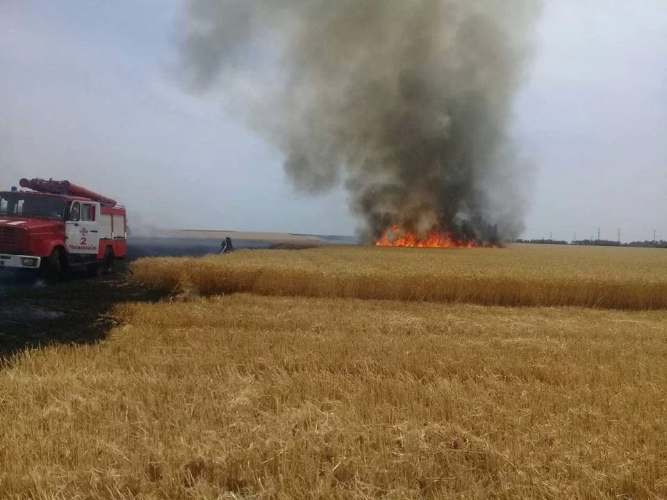 Неподалік від міста Очакова в Миколаївській області сталася пожежа на пшеничному полі. Вогонь знищив 4,5 гектара пшениці.