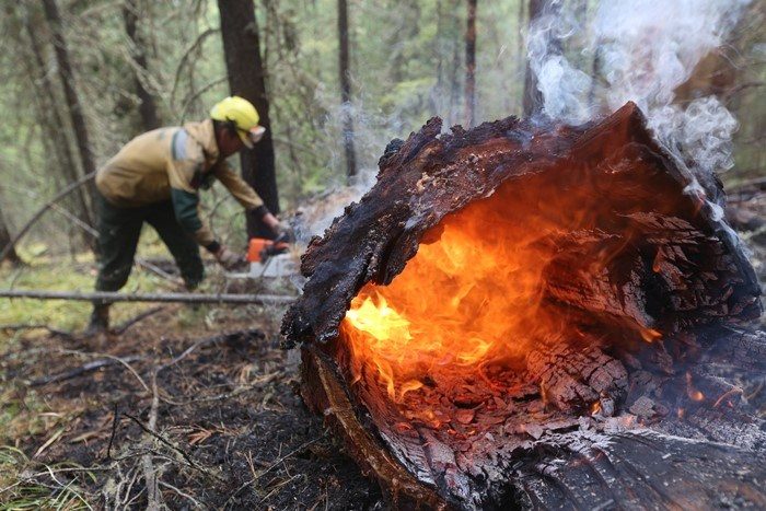 У більшості районів Херсонської, Запорізької, Донецької, Дніпропетровської, Кіровоградської областей надзвичайна пожежна небезпека.