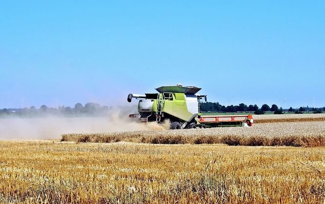 Україна експортувала 39,4 млн тонн зернових культур протягом 2017/2018 маркетингового року (з 1 липня 2017 по 30 червня 2018 року).
