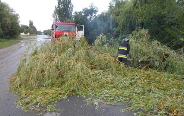 У Львівській та Тернопільській областях негода валила дерева й зривала дахи з будинків, підтоплені вулиці.