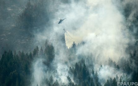 Через лісові пожежі Міністерство з надзвичайних ситуацій Швеції повертає рятувальників із відпусток, пік яких зазвичай припадає на липень.