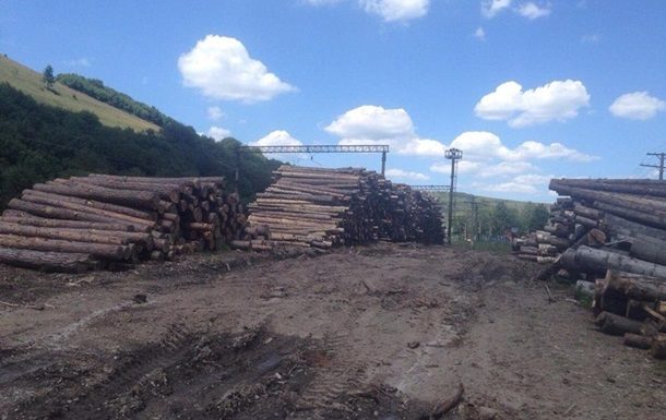 Лісник продав 72 м. куб. неврахованої деревини за 125 тисяч гривень. Йому загрожує до чотирьох років в'язниці.