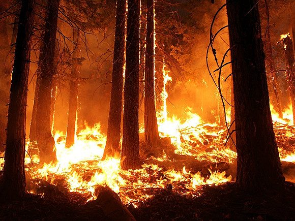 Жертвами лісових пожеж у Каліфорнії стали шість людец. Уточнюється, що вогонь охопив понад 60 тис. гектарів, зафіксовано 14 вогнищ загоряння.