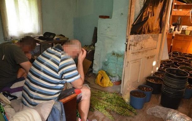 В Івано-Франківській області працівники СБУ припинили діяльність наркоторговців, що займалися масштабним збутом синтетичних наркотиків і виробництвом марихуани.