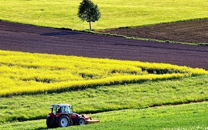 Президент України Петро Порошенко не бачить шансів щодо зняття мораторію на продаж землі сільгосппризначення.