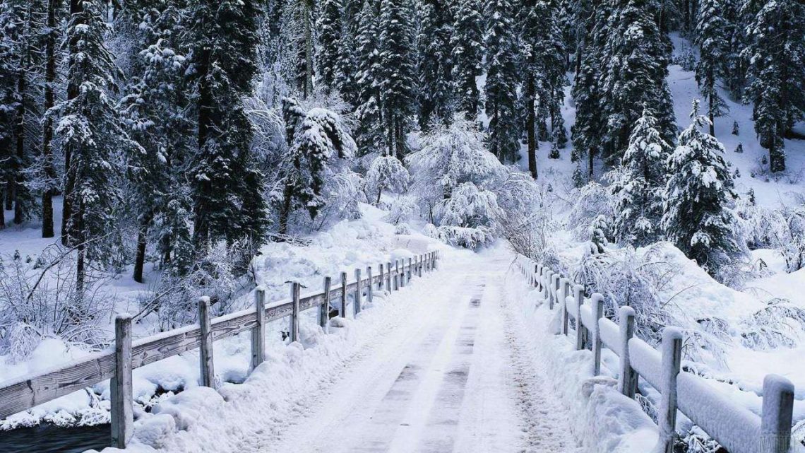 У Карпатах випав перший сніг. Рятувальники попередили туристів про погіршення погоди в горах.