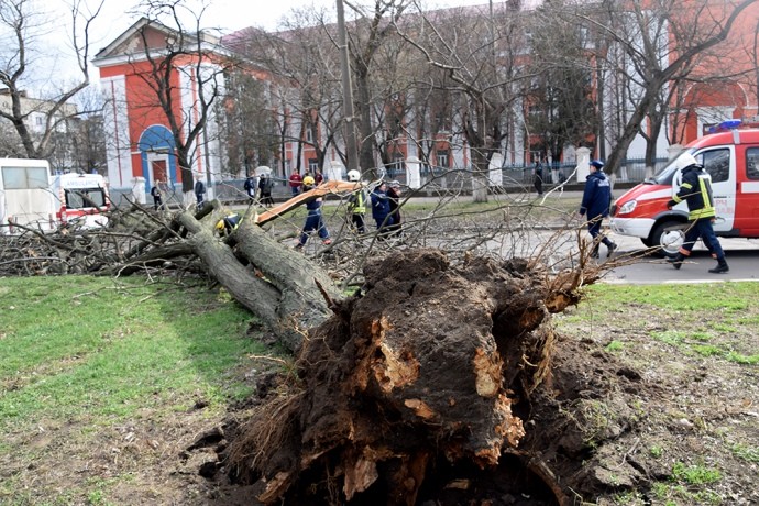 В Николаеве на маршрутное такси упало дерево. С травмами различной степени в лечебные учреждения госпитализированы двое несовершеннолетних детей.