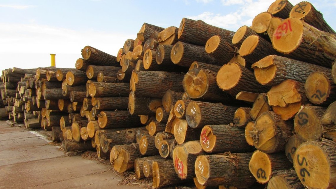 Лісозаготівлі ділової круглої деревини в країні зросли на 23% і наблизилися до 9 млн кубометрів.
