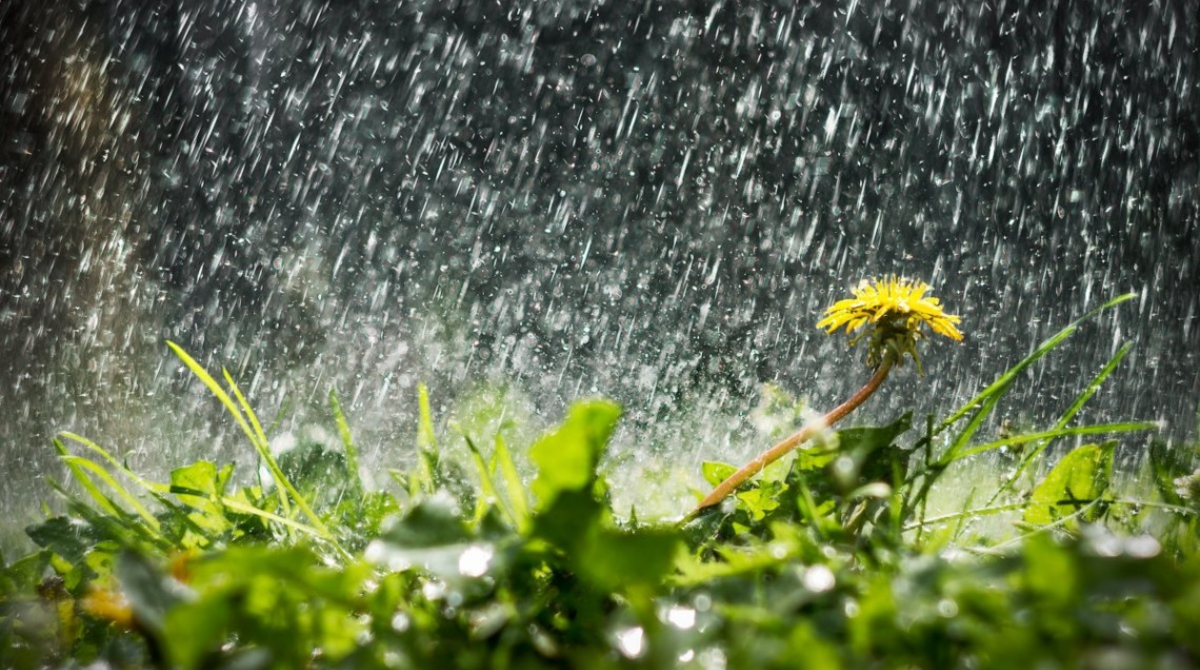 Погода в Україні 20 травня - йтимуть дощі з грозами » Слово і Діло